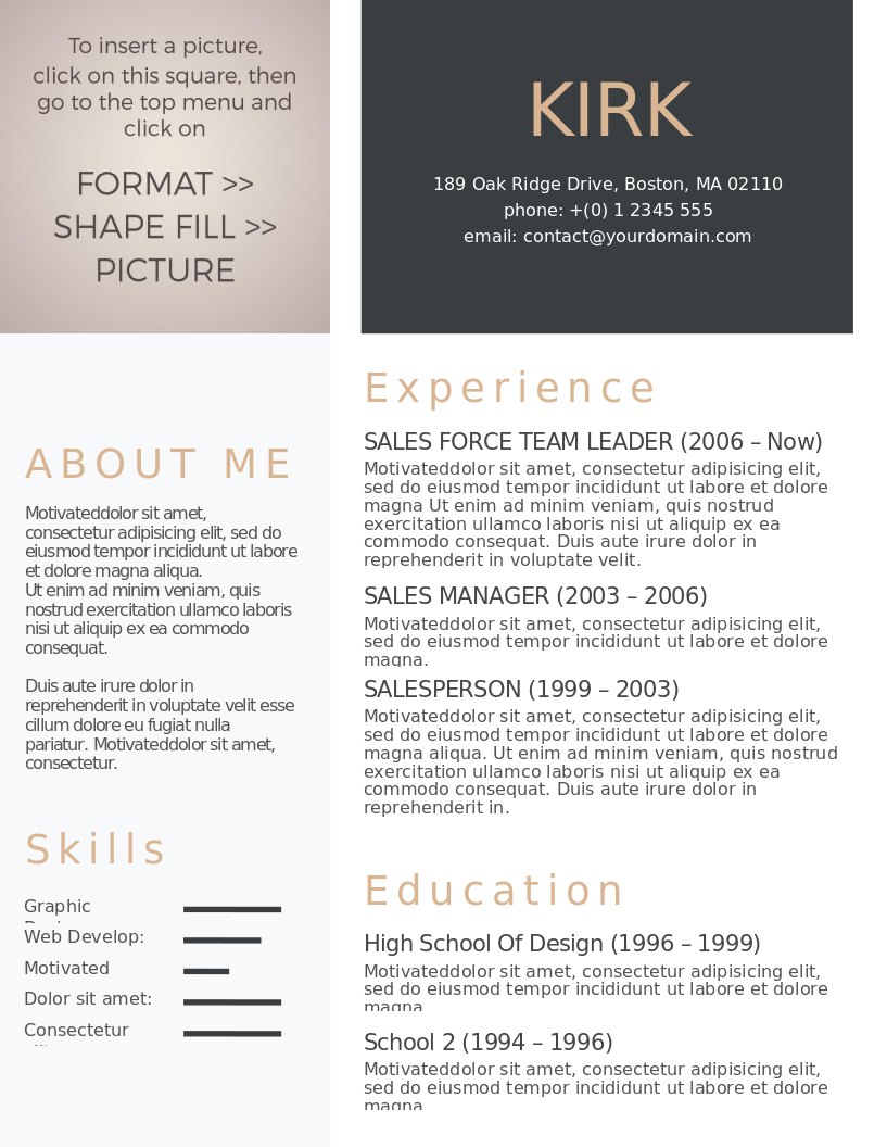 Clean Headshot CV preview